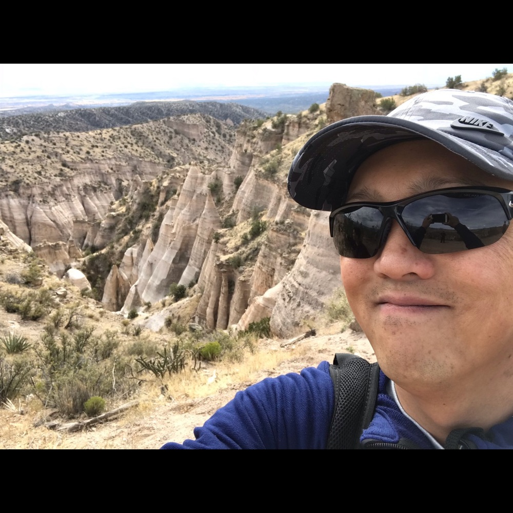 Meet your Posher, Delfin